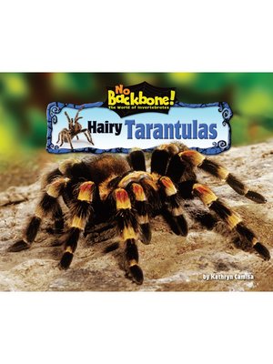 cover image of Hairy Tarantulas